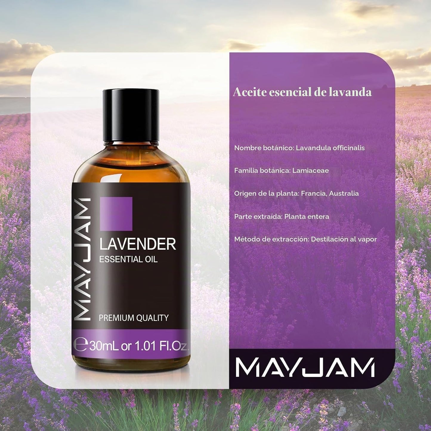 MAYJAM Aceite Esencial De Lavanda 30Ml, Aceite De Lavanda Para Difusor, Humidificador, Bricolaje, Hogar, Accesorios | Aceite De Lavanda Humidificador, Bricolaje, Hogar, Accesorios