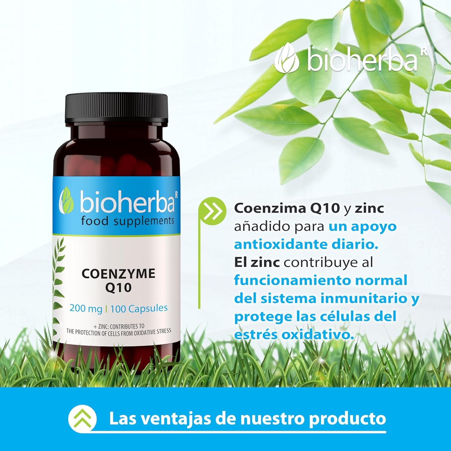 Coenzima Q10 – 100 Cápsulas De 200 Mg | Complemento Con Zinc – Bioherba (1)